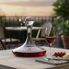 Vintner's Choice Decanter with Free Luxury Satin Decanter and Stopper Bags