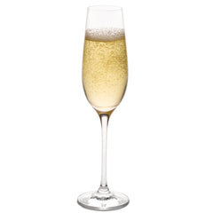 Classics Champagne Flute (Set of 4) with Free Microfiber Cleaning Cloth