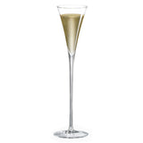 Classics Long Stem Champagne Flute (1 Glass) with Free Microfiber Cleaning Cloth