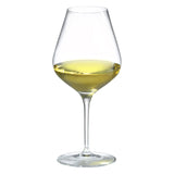 Amplifier Unoaked White Wine Glass (Set of 4)