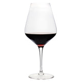 Amplifier Cabernet Glass (Set of 4) with Free Microfiber Cleaning Cloth
