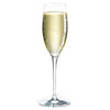 Classics Luxury Cuvee Champagne Flute (Set of 8) with Free Microfiber Cleaning Cloth