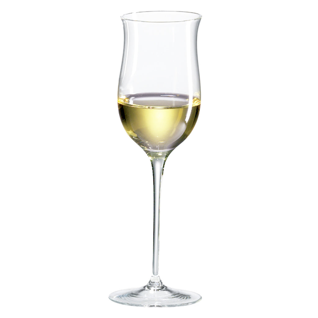 Tannon Water Glasses (Set of 4) in White | Arhaus