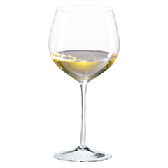 Classics Loire/Sauvignon Blanc Glass (Set of 4) with Free Microfiber Cleaning Cloth